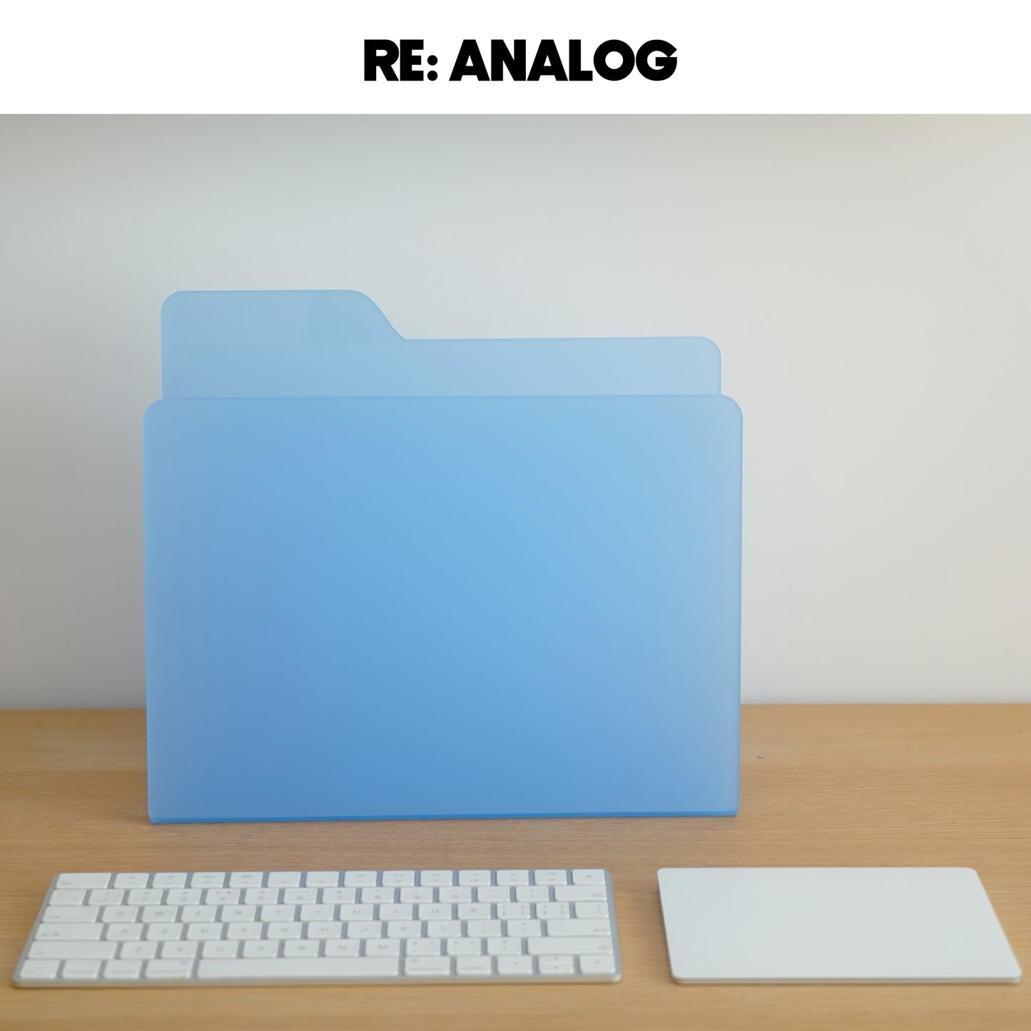 Vinyl File Storage Box